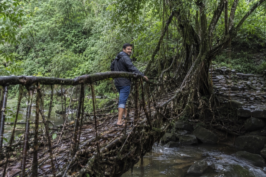 Somebody crossing a living root bridge in wet forest, hand on the woven handrail.